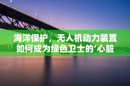 海洋保护，无人机动力装置如何成为绿色卫士的‘心脏’？