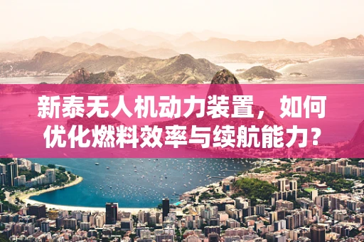 新泰无人机动力装置，如何优化燃料效率与续航能力？