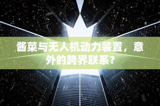 酱菜与无人机动力装置，意外的跨界联系？