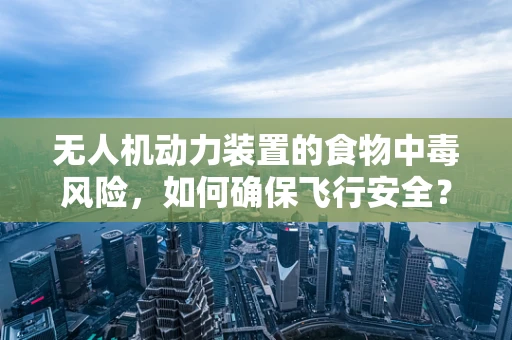 无人机动力装置的食物中毒风险，如何确保飞行安全？