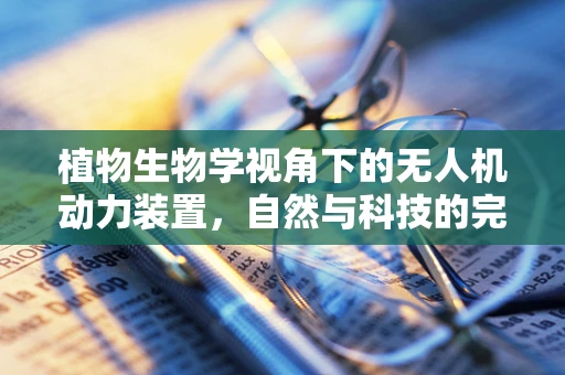 植物生物学视角下的无人机动力装置，自然与科技的完美融合？