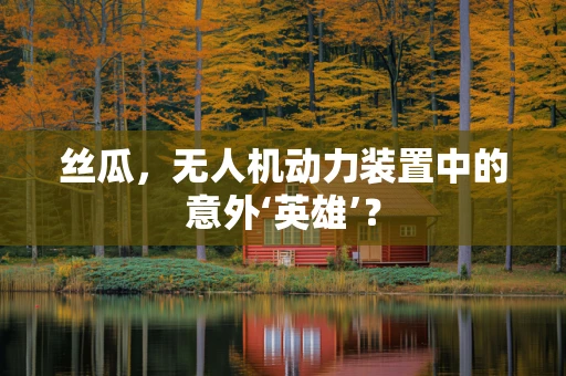 丝瓜，无人机动力装置中的意外‘英雄’？