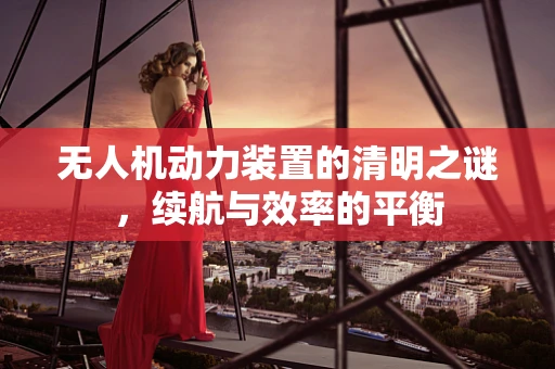 无人机动力装置的清明之谜，续航与效率的平衡
