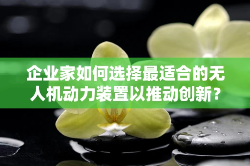 企业家如何选择最适合的无人机动力装置以推动创新？