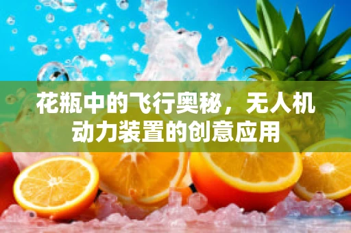 花瓶中的飞行奥秘，无人机动力装置的创意应用