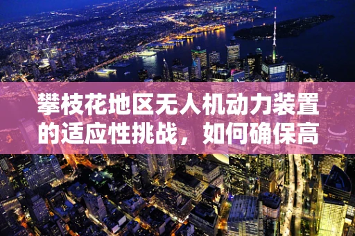 攀枝花地区无人机动力装置的适应性挑战，如何确保高效飞行？