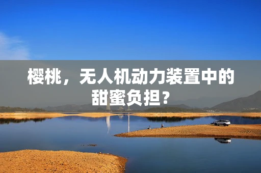 樱桃，无人机动力装置中的甜蜜负担？