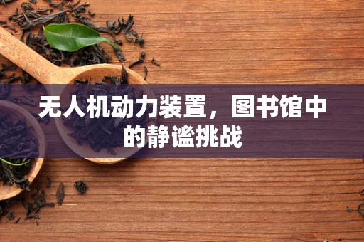 无人机动力装置，图书馆中的静谧挑战