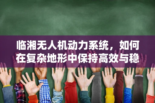 临湘无人机动力系统，如何在复杂地形中保持高效与稳定？