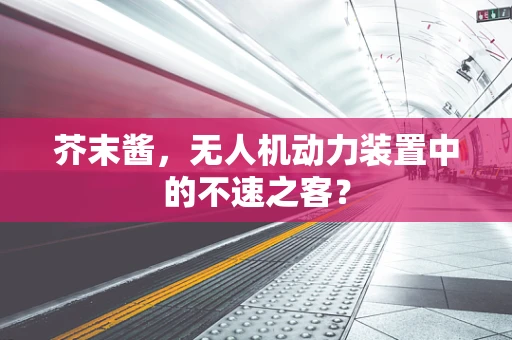 芥末酱，无人机动力装置中的不速之客？