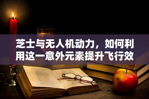 芝士与无人机动力，如何利用这一意外元素提升飞行效率？