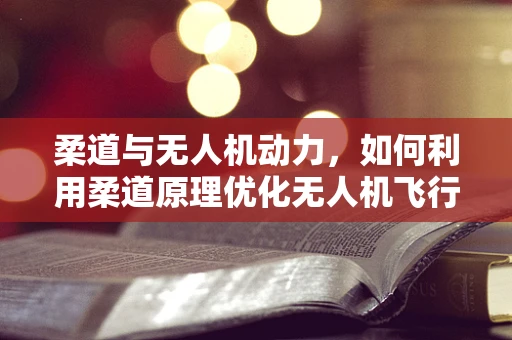 柔道与无人机动力，如何利用柔道原理优化无人机飞行稳定性？