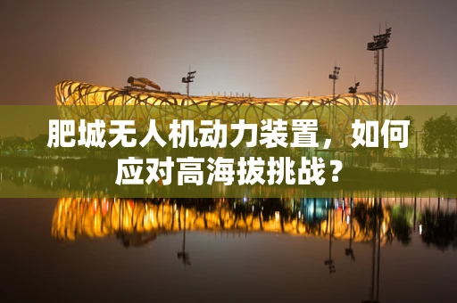 肥城无人机动力装置，如何应对高海拔挑战？