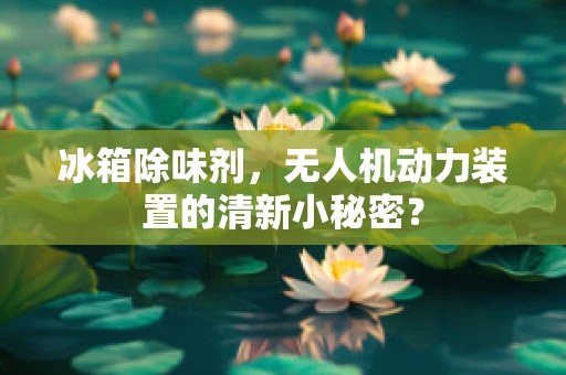 冰箱除味剂，无人机动力装置的清新小秘密？