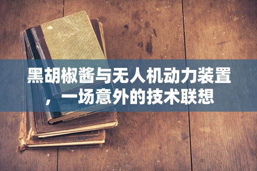 黑胡椒酱与无人机动力装置，一场意外的技术联想