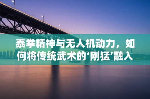 泰拳精神与无人机动力，如何将传统武术的‘刚猛’融入无人机设计？