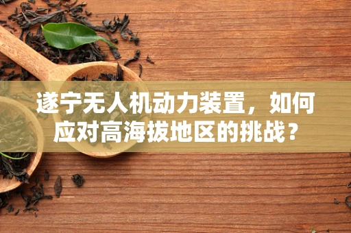 遂宁无人机动力装置，如何应对高海拔地区的挑战？