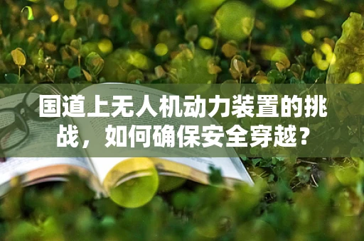 国道上无人机动力装置的挑战，如何确保安全穿越？