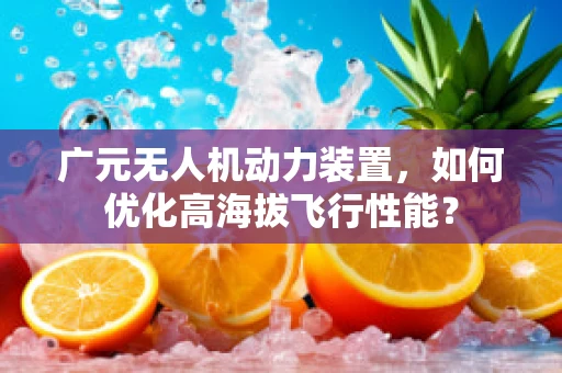 广元无人机动力装置，如何优化高海拔飞行性能？