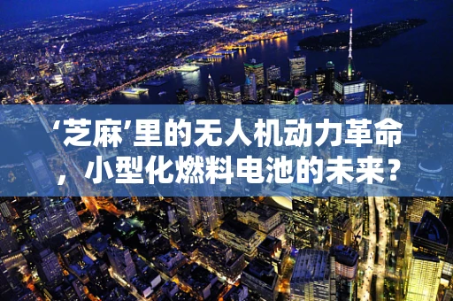 ‘芝麻’里的无人机动力革命，小型化燃料电池的未来？