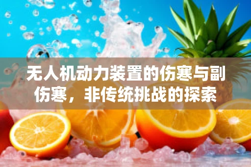 无人机动力装置的伤寒与副伤寒，非传统挑战的探索
