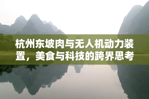 杭州东坡肉与无人机动力装置，美食与科技的跨界思考