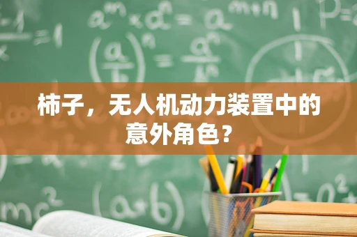 柿子，无人机动力装置中的意外角色？