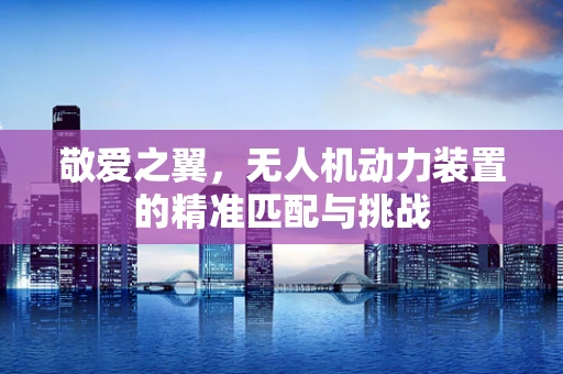 敬爱之翼，无人机动力装置的精准匹配与挑战