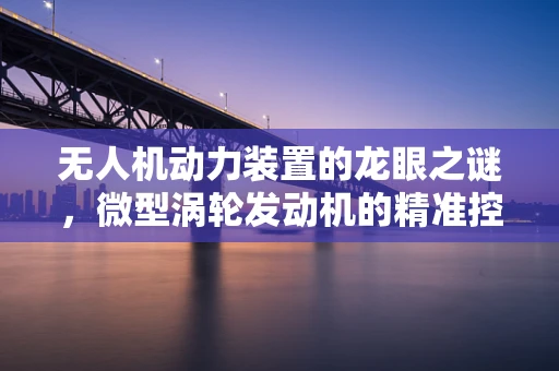 无人机动力装置的龙眼之谜，微型涡轮发动机的精准控制