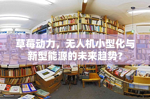 草莓动力，无人机小型化与新型能源的未来趋势？