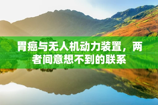 胃癌与无人机动力装置，两者间意想不到的联系