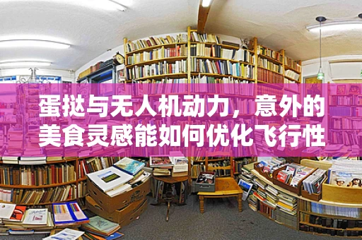 蛋挞与无人机动力，意外的美食灵感能如何优化飞行性能？
