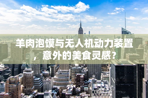 羊肉泡馍与无人机动力装置，意外的美食灵感？