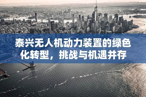 泰兴无人机动力装置的绿色化转型，挑战与机遇并存