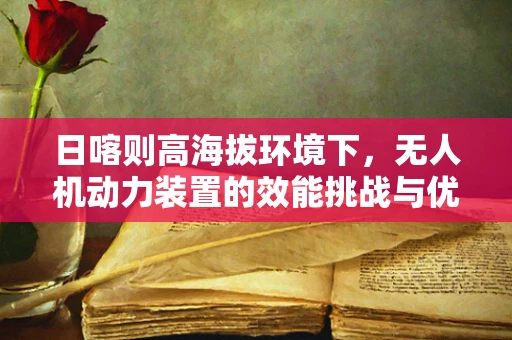 日喀则高海拔环境下，无人机动力装置的效能挑战与优化策略