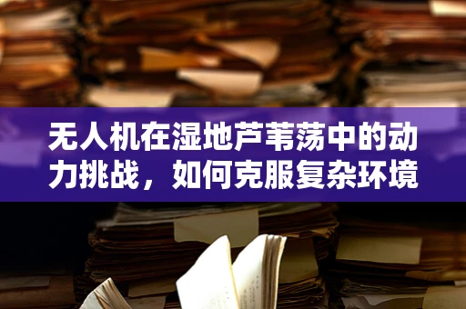无人机在湿地芦苇荡中的动力挑战，如何克服复杂环境下的飞行难题？