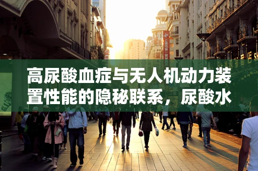 高尿酸血症与无人机动力装置性能的隐秘联系，尿酸水平如何影响电池续航？