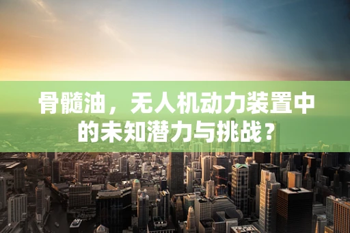 骨髓油，无人机动力装置中的未知潜力与挑战？