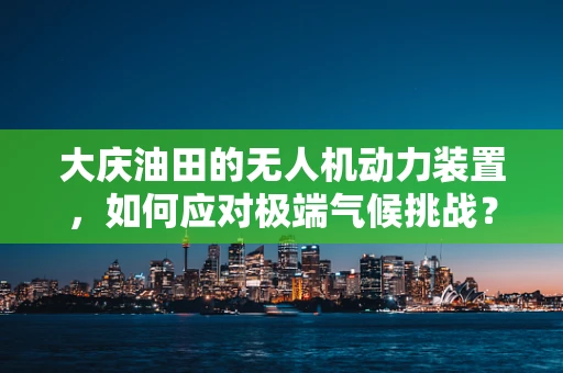 大庆油田的无人机动力装置，如何应对极端气候挑战？