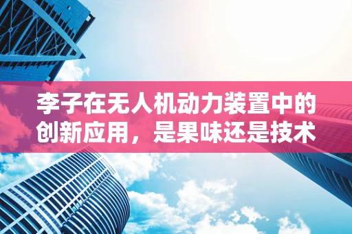 李子在无人机动力装置中的创新应用，是果味还是技术革新？