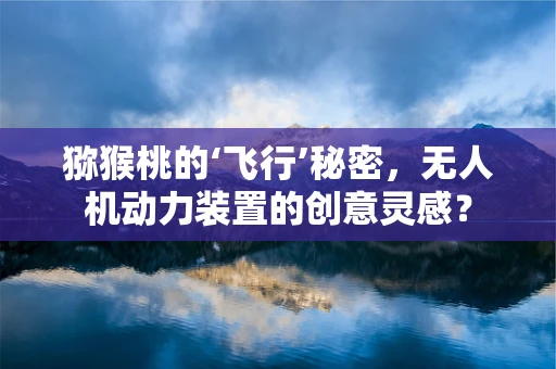 猕猴桃的‘飞行’秘密，无人机动力装置的创意灵感？