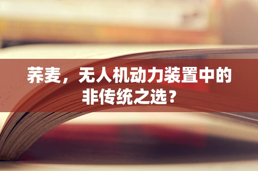 荞麦，无人机动力装置中的非传统之选？