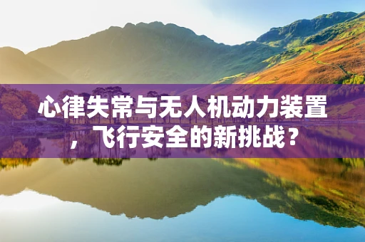 心律失常与无人机动力装置，飞行安全的新挑战？