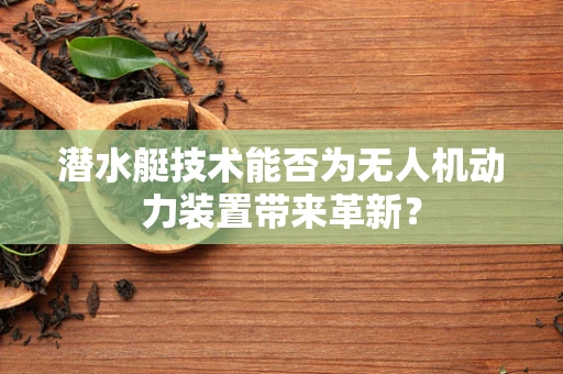 潜水艇技术能否为无人机动力装置带来革新？