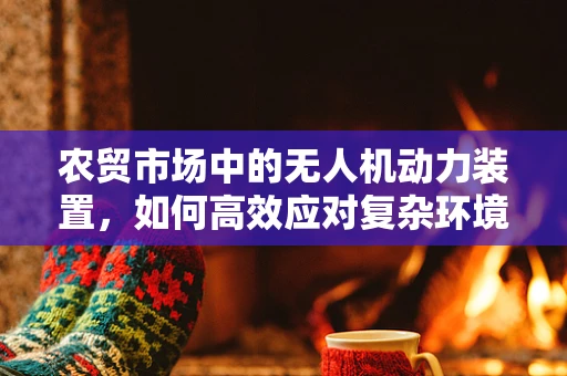 农贸市场中的无人机动力装置，如何高效应对复杂环境？