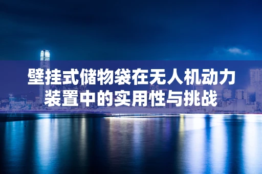 壁挂式储物袋在无人机动力装置中的实用性与挑战