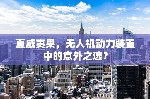 夏威夷果，无人机动力装置中的意外之选？