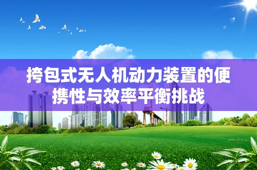 挎包式无人机动力装置的便携性与效率平衡挑战