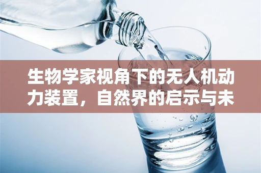 生物学家视角下的无人机动力装置，自然界的启示与未来创新