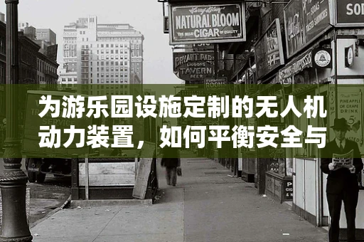 为游乐园设施定制的无人机动力装置，如何平衡安全与乐趣？